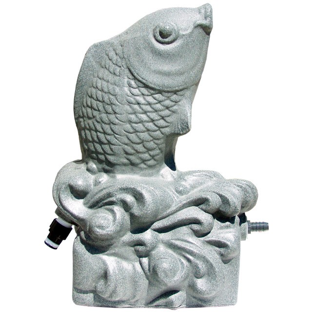 Aqua Fish